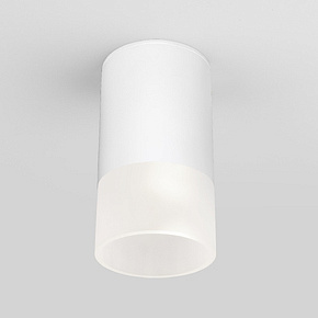 Уличный потолочный светильник Light LED 2106 IP54 35139/H белый