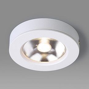 Накладной точечный светодиодный светильник белый DLS030