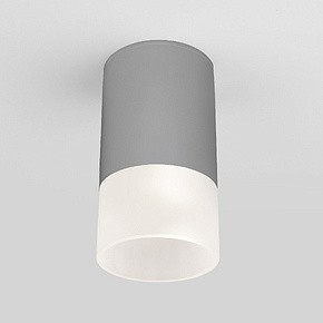 Уличный потолочный светильник Light LED 2106 IP54 35139/H серый